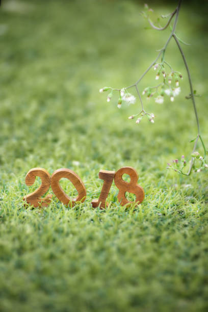 istock Happy new year 2018, nature concept 868482630