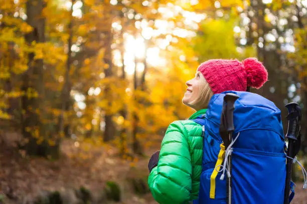Hiking woman with backpack looking at inspirational autumn golden forest. Fitness travel and healthy lifestyle outdoors in fall season nature. Female backpacker tourist walking and looking around.