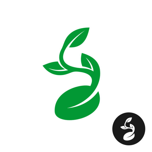 ilustraciones, imágenes clip art, dibujos animados e iconos de stock de símbolo del brote. una forma estilo planta con semillas y hojas verdes ve - semillas