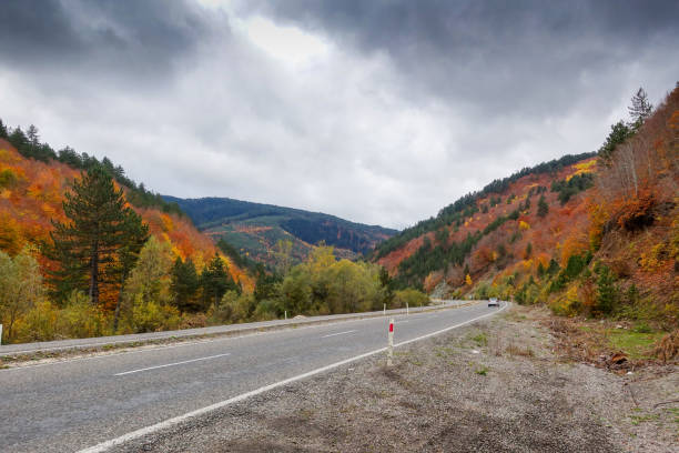 istock Autumn and forest, colorful trees and leaves 868490726