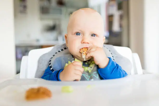 Baby boy eating bread and cucumber with BLW method, baby led weaning. Happy vegetarian kid eating lunch. Toddler eat himself, self-feeding.