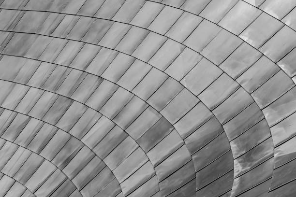 istock Curve of Dragon Scale Metal Panels 868495956