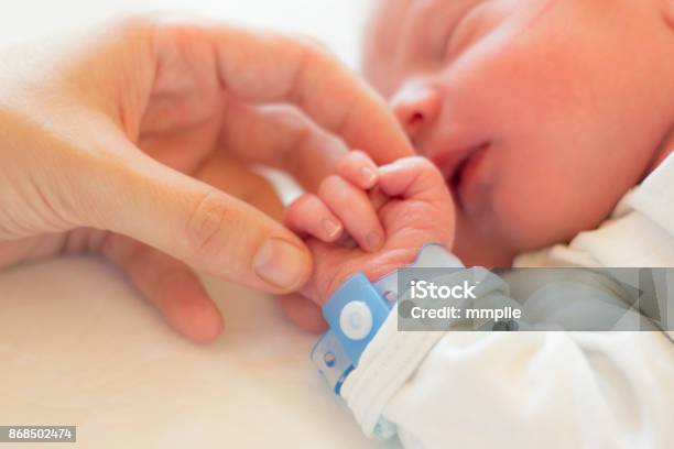 The Strongest Connection Stock Photo - Download Image Now - Newborn, Baby - Human Age, New Life