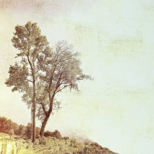 istock Vintage autumnal tree in soft blue and sepia tones with copy space. 868504284