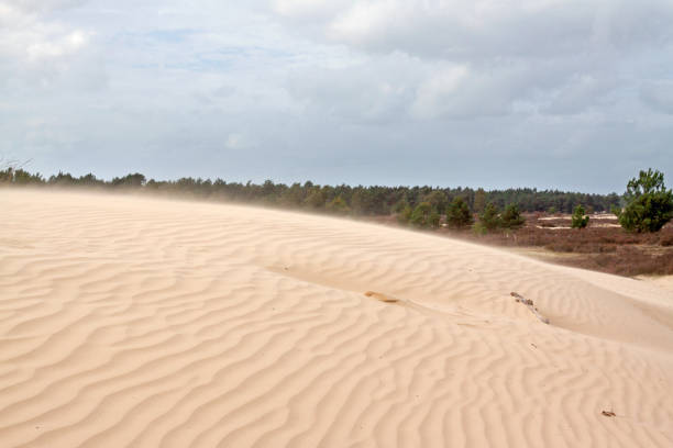área de dunas de areia em movimento - drunen - fotografias e filmes do acervo