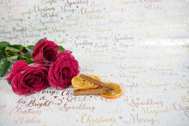 christmas photography image of xmas red rose flowers and glitter petals with cinnamon sticks orange slices on christmas shiny wrapping paper xmas roses and Christmas items, taken in my home studio in West Sussex, South coast of England UK rose christmas red white stock pictures, royalty-free photos & images