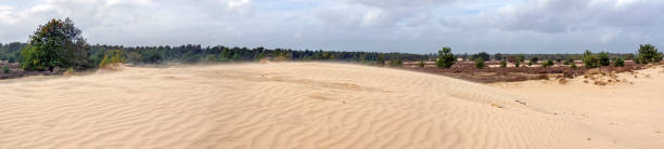 área de dunas de areia em movimento - drunen - fotografias e filmes do acervo