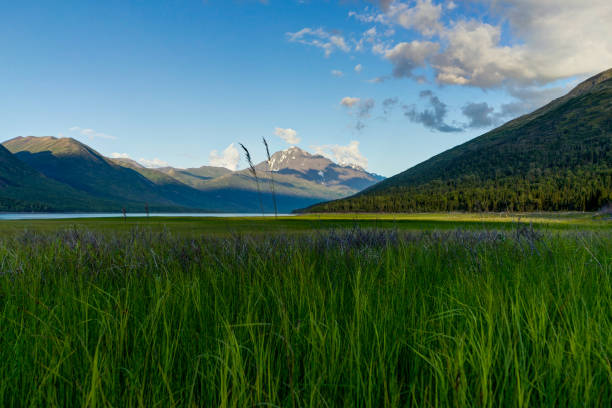 vista montaña lago eklutna cerca de anchorage - girdwood fotografías e imágenes de stock