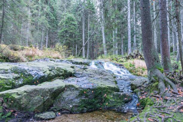 istock Waterfall at the small Arber lake, Bavaria, Germany 868515222