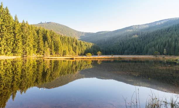 istock Small Arber lake in the autumn, Bavaria, Germany 868515228