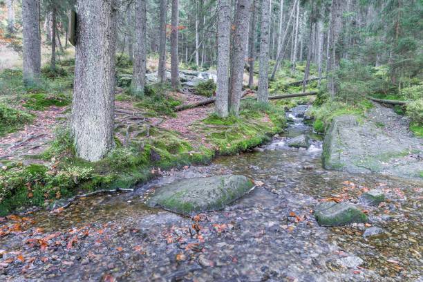 istock Waterfall at the small Arber lake, Bavaria, Germany 868515268
