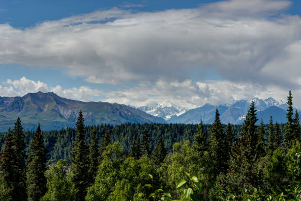 istock View over trees with Mountain Range and Clouds in Alaska United 868515590