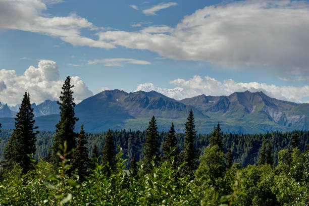 istock View over trees with Mountain Range and Clouds in Alaska United 868515686
