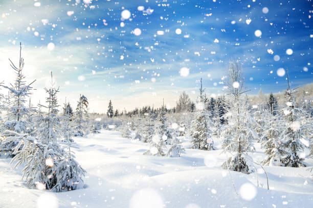 istock winter landscape with the forest  and blue sky 868515722