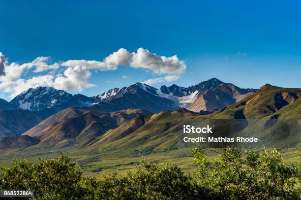 View Towards Grassland Tundra And Mountain Range In Denali Natio Stock Photo - Download Image Now