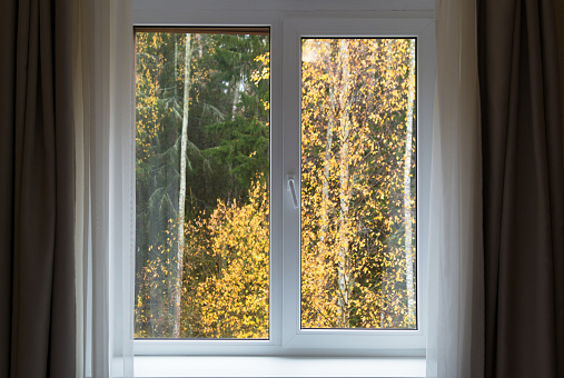 White window with sill and autumn landscape, interior with window in autumn day.