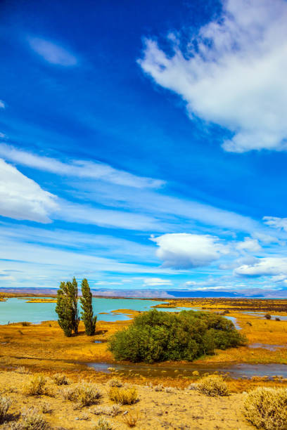 istock Strong wind  in Patagonian Pampas 868523788