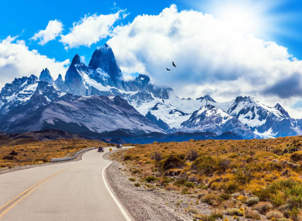 istock The Andean condors hover over the prairie 868523790