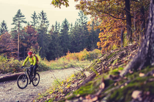 mountain biker riding cycling in autumn forest - wood dirt road footpath exercising imagens e fotografias de stock