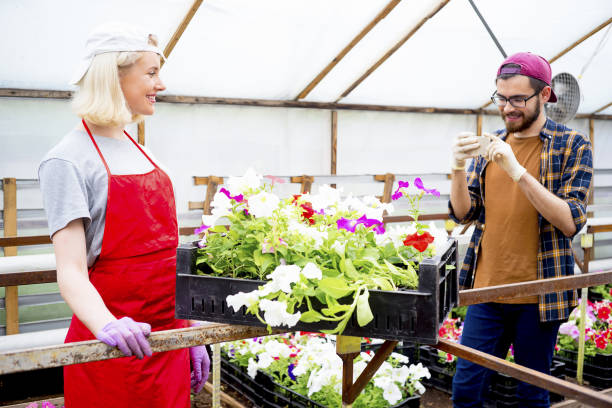 istock People working in a greenhouse 868531098