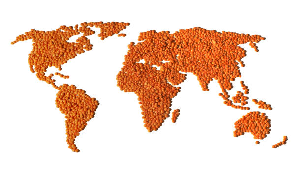istock World map of lentil grains 868531700