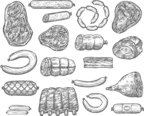 Vector sketch icons of meat products and sausages Meat product delicatessen and sausages sketch icons. Vector isolated set of pepperoni, cervelat or salami sausage, pork filet or brisket and beef steak tenderloin, mutton ribs and veal bacon or ham butcher illustrations stock illustrations