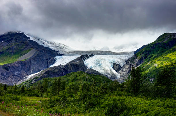 View towards Worthington Glacier in Alaska United States of Amer Photo taken in Alaska, United States of America. Worthington stock pictures, royalty-free photos & images