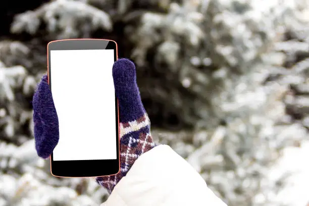 Female / woman / girl hand in mittens with mockup phone / smartphone in winter on fir tree background