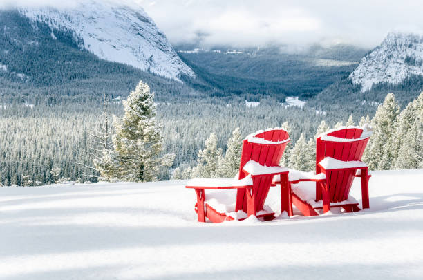 sedie adirondack rosse innevate di fronte a una valle boscosa - adirondack chair foto e immagini stock