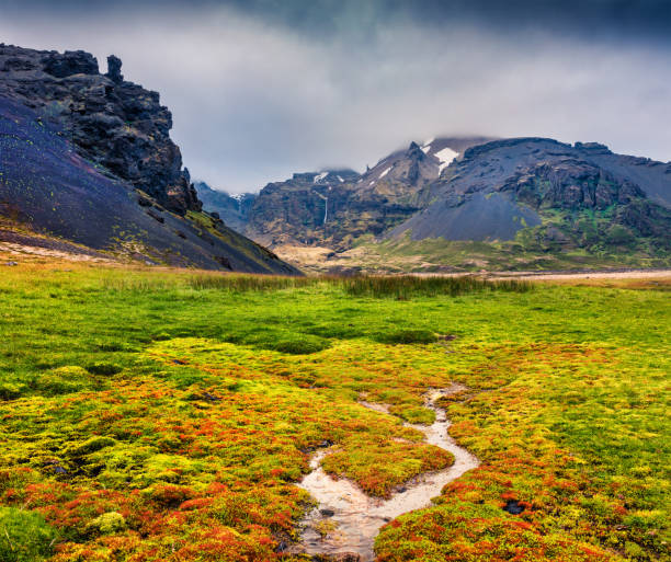 istock Typical Icelandic landscape with majestic canyon and pure water spring 868540448
