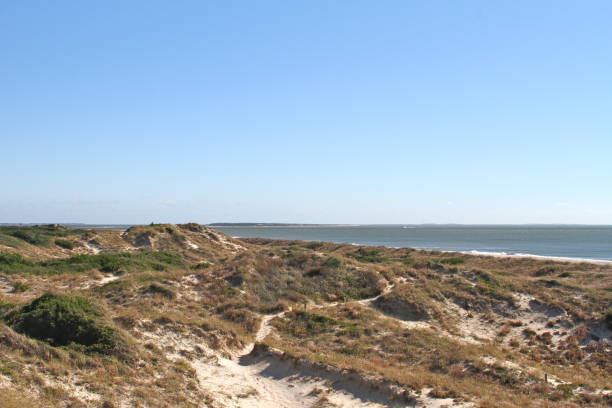 istock Dunes in a seaside landscape. 868541912