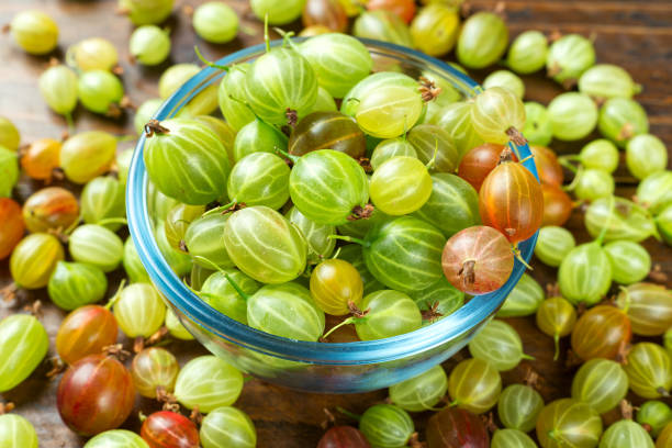 istock Ripe gooseberry scattered 868549266