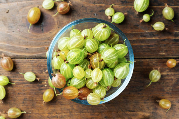 reife stachelbeere in einer glasplatte - gooseberry fruit berry bowl stock-fotos und bilder