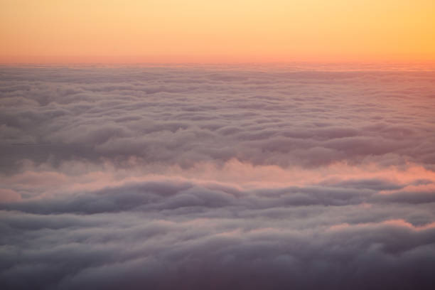 istock Fog at Sunset in California 868549988