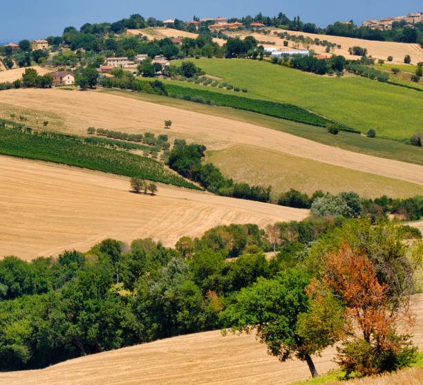 istock Summer landscape in Marches (Italy) near Ostra 868555146
