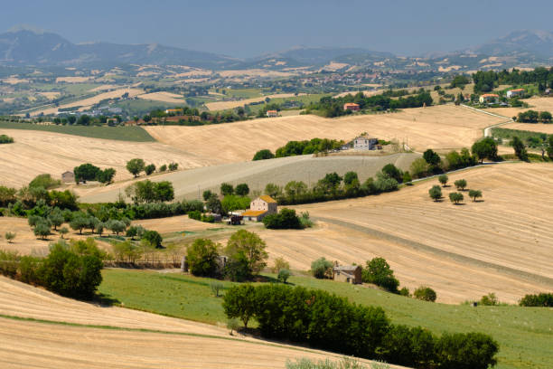 istock Summer landscape in Marches (Italy) near Ostra 868555268