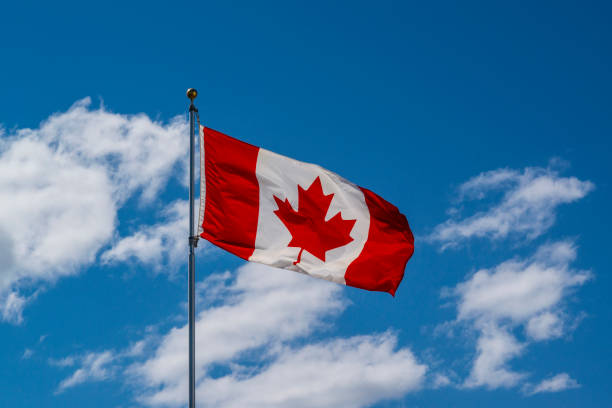 Bandeira Canadense  - foto de acervo