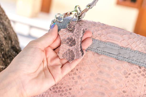 istock Closeup woman hands with fashion luxury snakeskin python handbag. Outdoors, Bali island 868568954