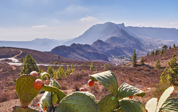 Gran Canaria Mountains stock photo