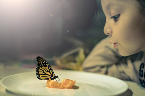 Little girl feeding a butterfly with oranges after finding it almost frosen in the park