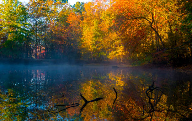 istock Cold but beautiful autumn morning 868576670
