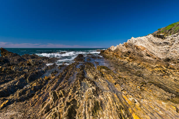 istock Exploring the Pacific shoreline at Spooner's Cove, Bluff Trail, Montana de Oro State Park, Morro Bay, San Luis Obispo County, California, USA 868579632