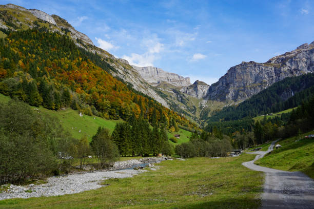 istock Idyllic green valley in front of klausenpass 868580182