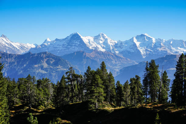 blick auf die alpen bernaise - brienz mountain landscape lake stock-fotos und bilder