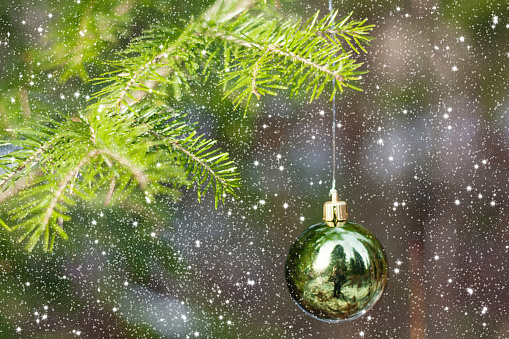 Green Christmas ball hanging on the xmasx tree with copyspase. New year fir tree in wood