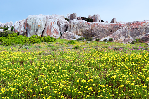 Landscape in the Posberg section of the West Coast National Park in the Western Cape Province.