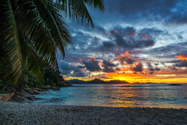 istock Beautiful romantic afterglow on paradise beach at anse severe, la digue, seychelles 868583728