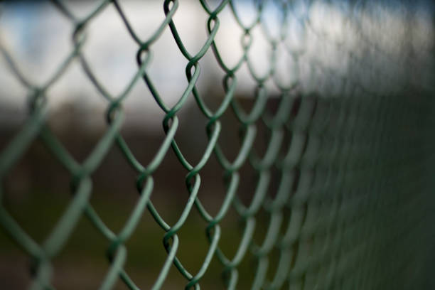 istock Green dark mesh fence closeup background 868584392