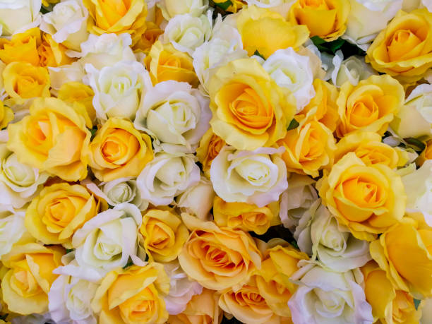 istock Flower, Rose - Flower, Bouquet, Holi 868584492