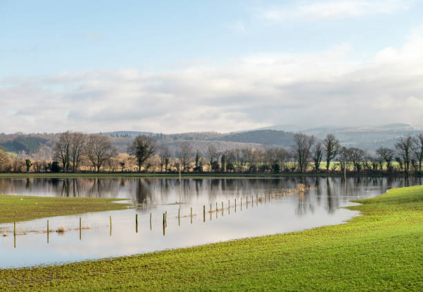acqua invernale alluvionale che copre i campi britannici - nature rain crop europe foto e immagini stock